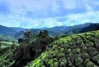 日韩av第-探索日韩AV文化，一个多维度的视角